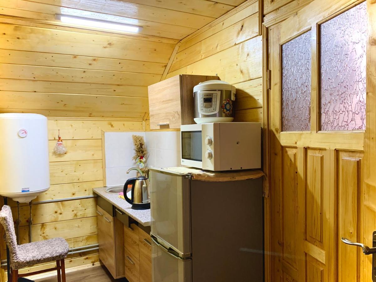 За Горбами Yaremche Exterior foto
